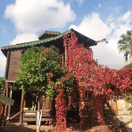 Esvida Arzum Bungalow Отель Kumluca